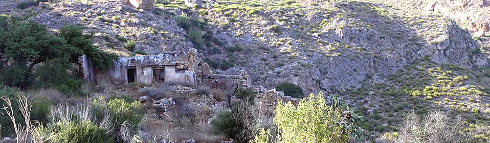 Land for sale with 16 Cortijos with land